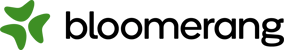 Bloomerang-Logo_Horizontal_RGB_Color